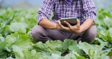 crop man browsing tablet while monitoring temperature in greenhouse