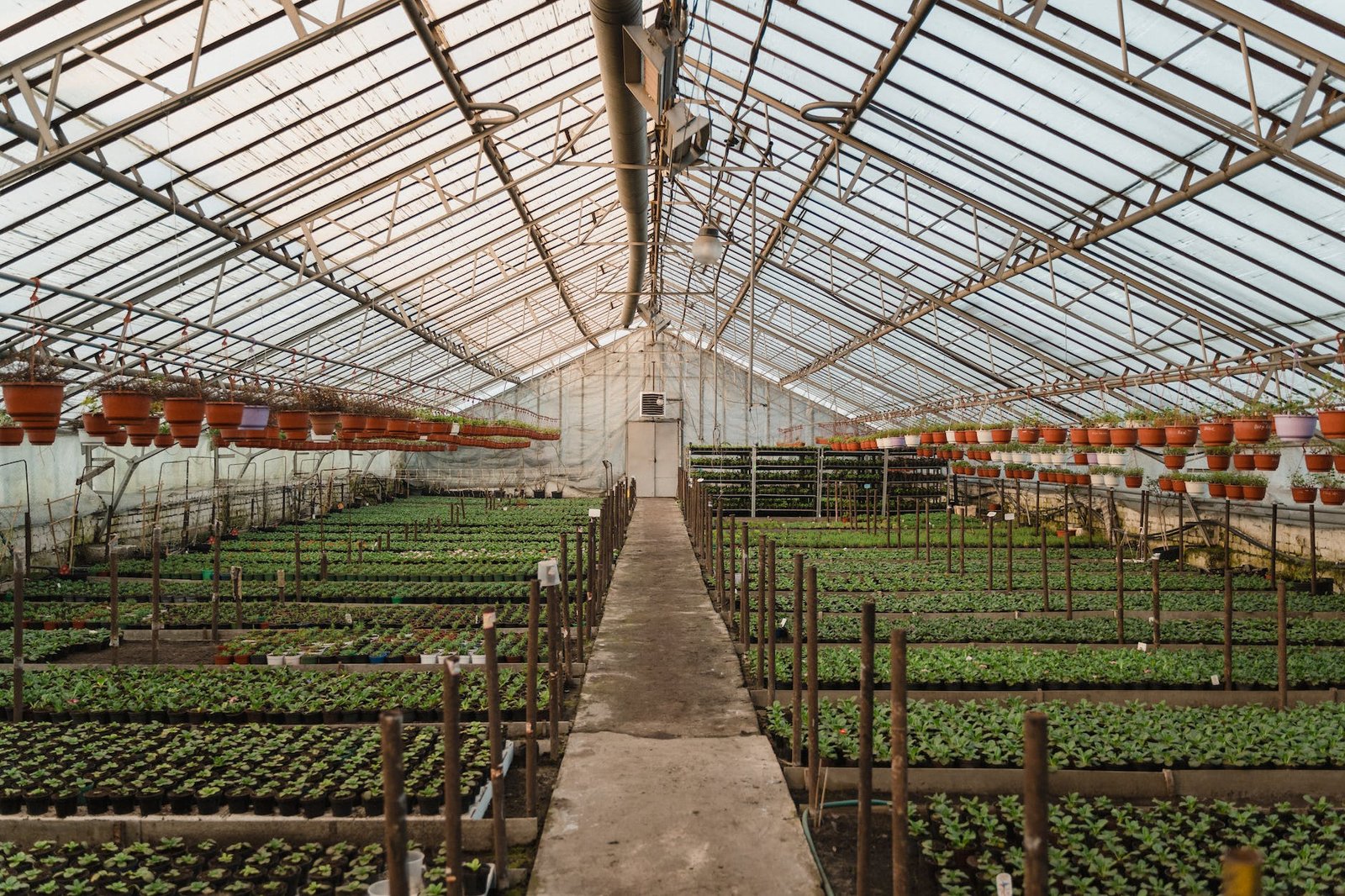 the interior of a greenhouse